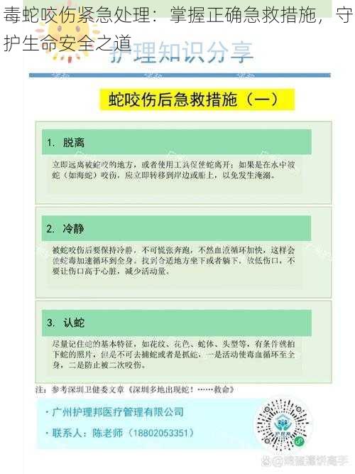 毒蛇咬伤紧急处理：掌握正确急救措施，守护生命安全之道