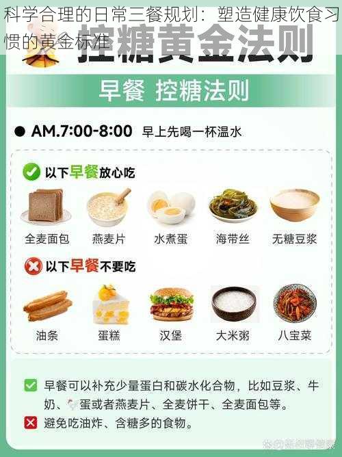 科学合理的日常三餐规划：塑造健康饮食习惯的黄金标准