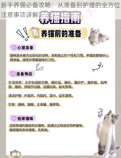 新手养猫必备攻略：从准备到护理的全方位注意事项详解