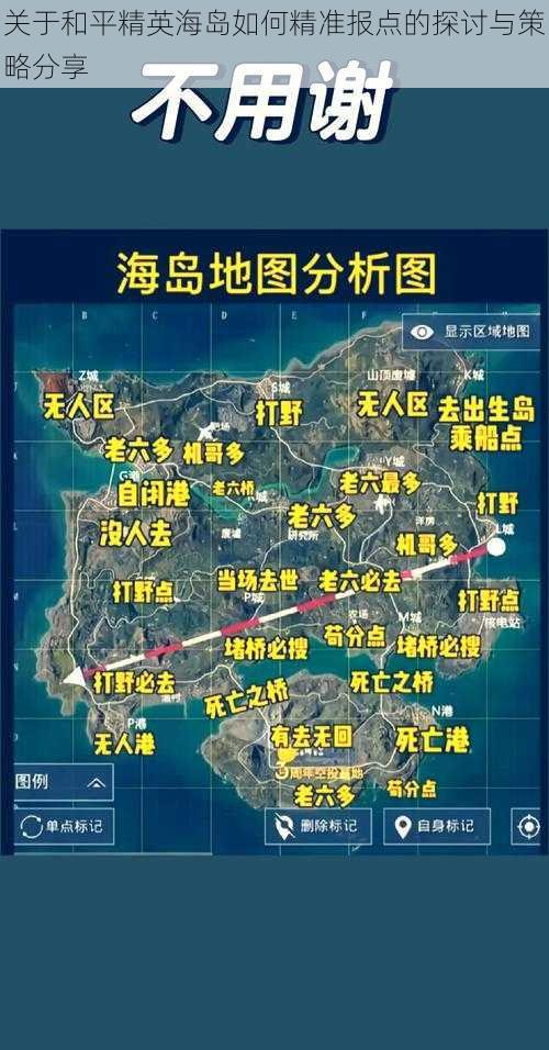 关于和平精英海岛如何精准报点的探讨与策略分享