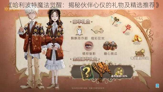 《哈利波特魔法觉醒：揭秘伙伴心仪的礼物及精选推荐》