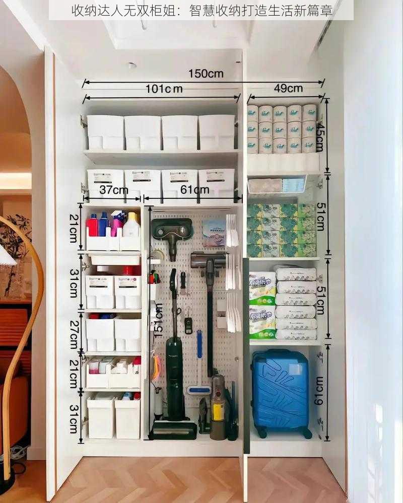 收纳达人无双柜姐：智慧收纳打造生活新篇章