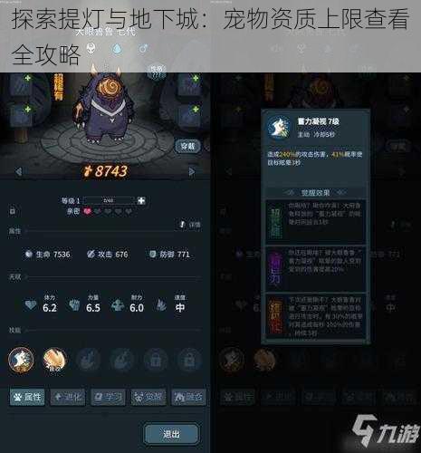 探索提灯与地下城：宠物资质上限查看全攻略