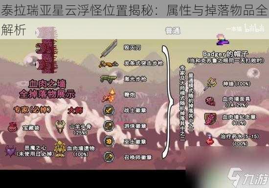 泰拉瑞亚星云浮怪位置揭秘：属性与掉落物品全解析