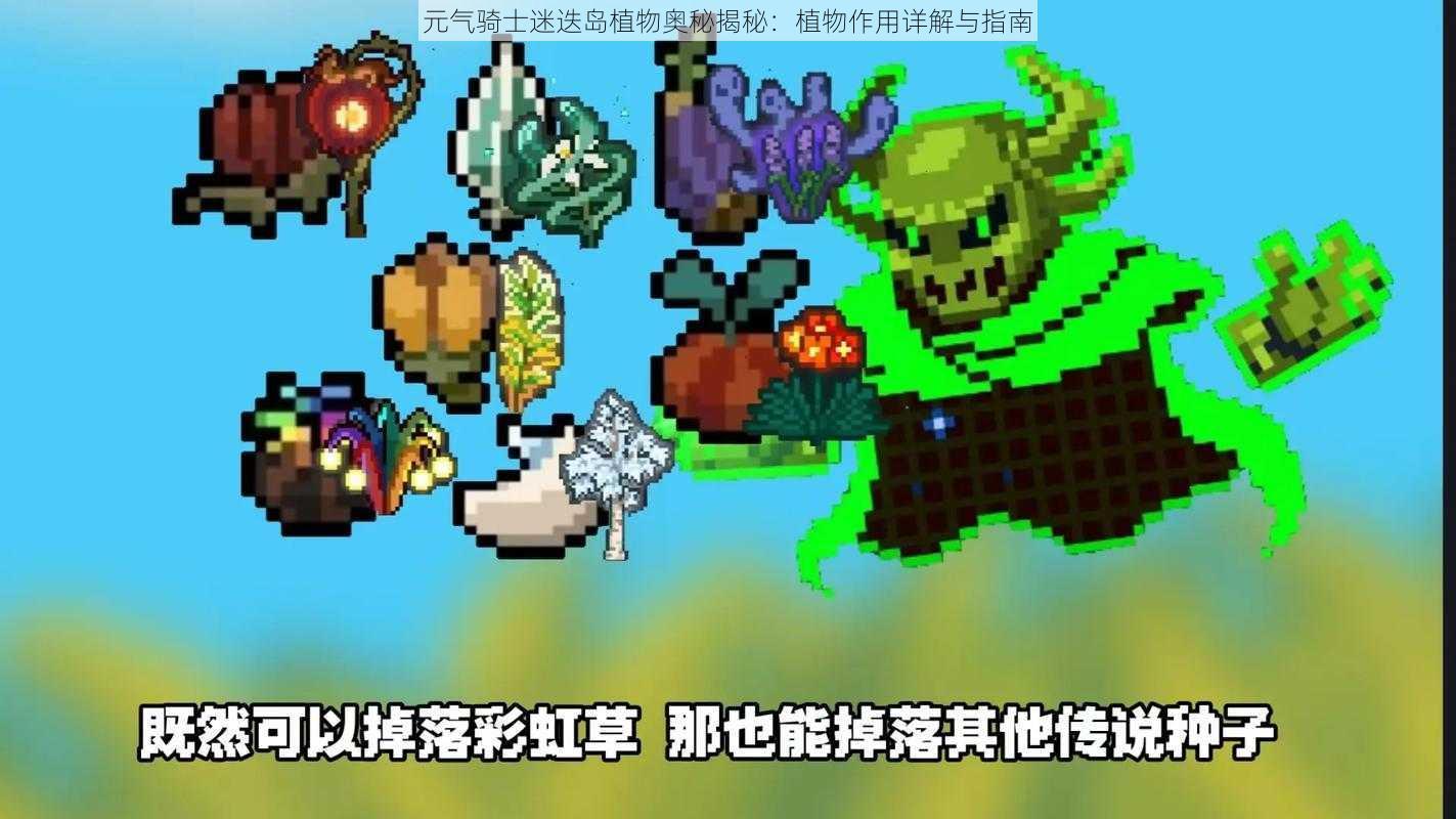 元气骑士迷迭岛植物奥秘揭秘：植物作用详解与指南