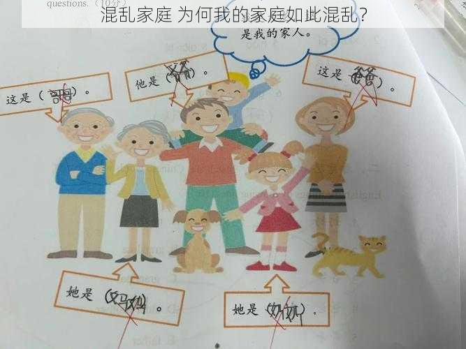 混乱家庭 为何我的家庭如此混乱?