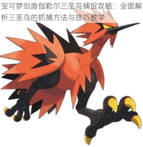 宝可梦剑盾伽勒尔三圣鸟捕捉攻略:全面解析三圣鸟的抓捕方法与技巧教学