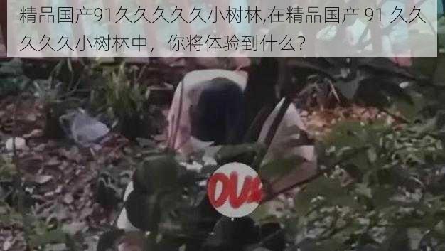 精品国产91久久久久久小树林,在精品国产 91 久久久久久小树林中,你将体验到什么?