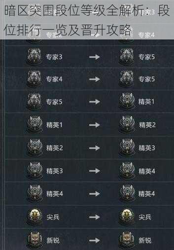 暗区突围段位等级全解析:段位排行一览及晋升攻略