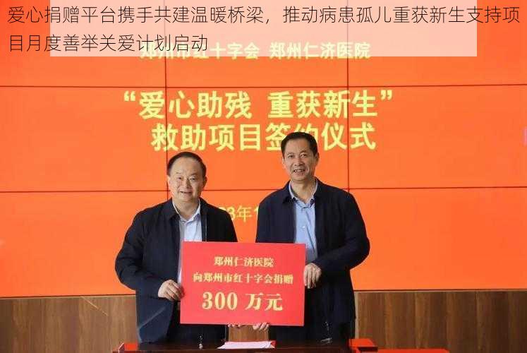 爱心捐赠平台携手共建温暖桥梁,推动病患孤儿重获新生支持项目月度善举关爱计划启动