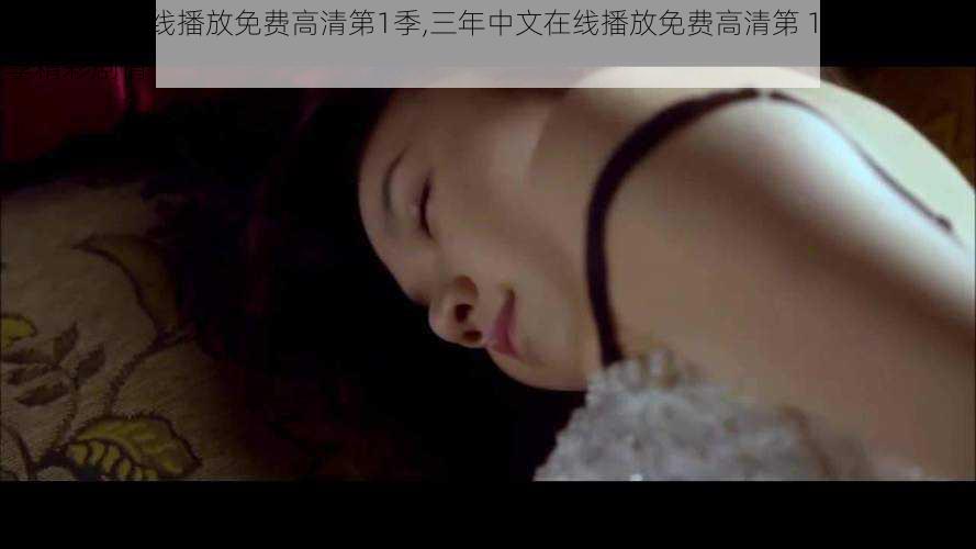 三年中文在线播放免费高清第1季,三年中文在线播放免费高清第 1 季:免费畅享精彩剧情