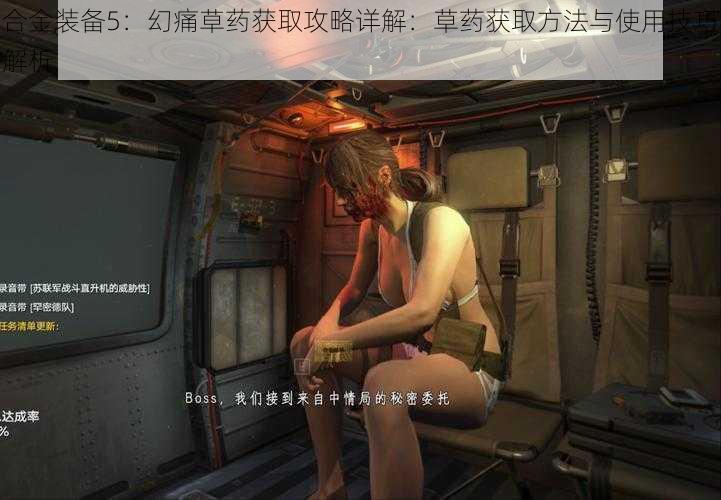 合金装备5:幻痛草药获取攻略详解:草药获取方法与使用技巧解析