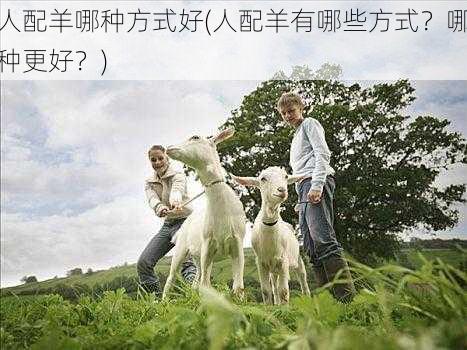 人配羊哪种方式好(人配羊有哪些方式?哪种更好?)