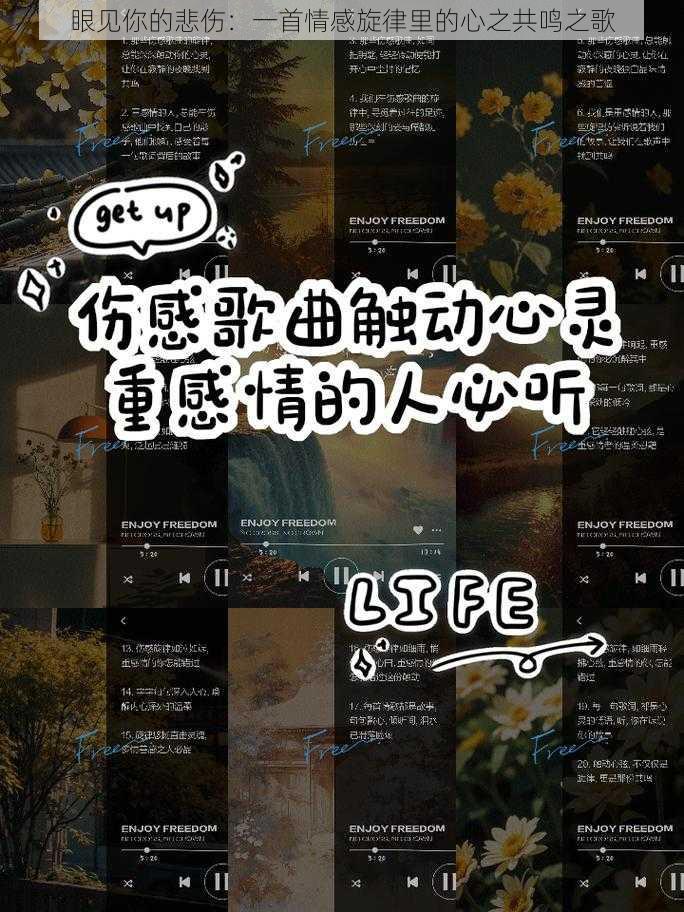 眼见你的悲伤:一首情感旋律里的心之共鸣之歌