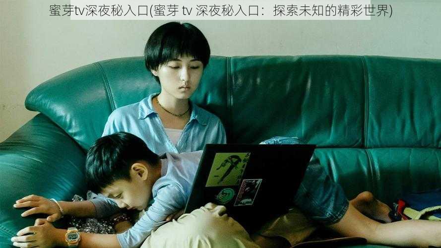 蜜芽tv深夜秘入口(蜜芽 tv 深夜秘入口:探索未知的精彩世界)