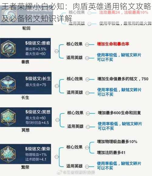 王者荣耀小白必知:肉盾英雄通用铭文攻略及必备铭文知识详解