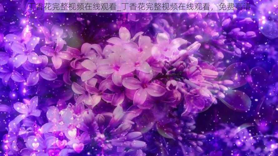 丁香花完整视频在线观看_丁香花完整视频在线观看,免费高清