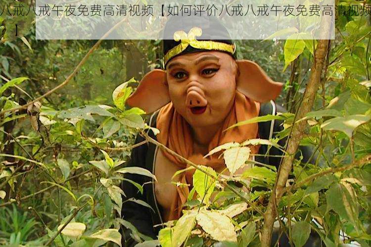 八戒八戒午夜免费高清视频【如何评价八戒八戒午夜免费高清视频?】