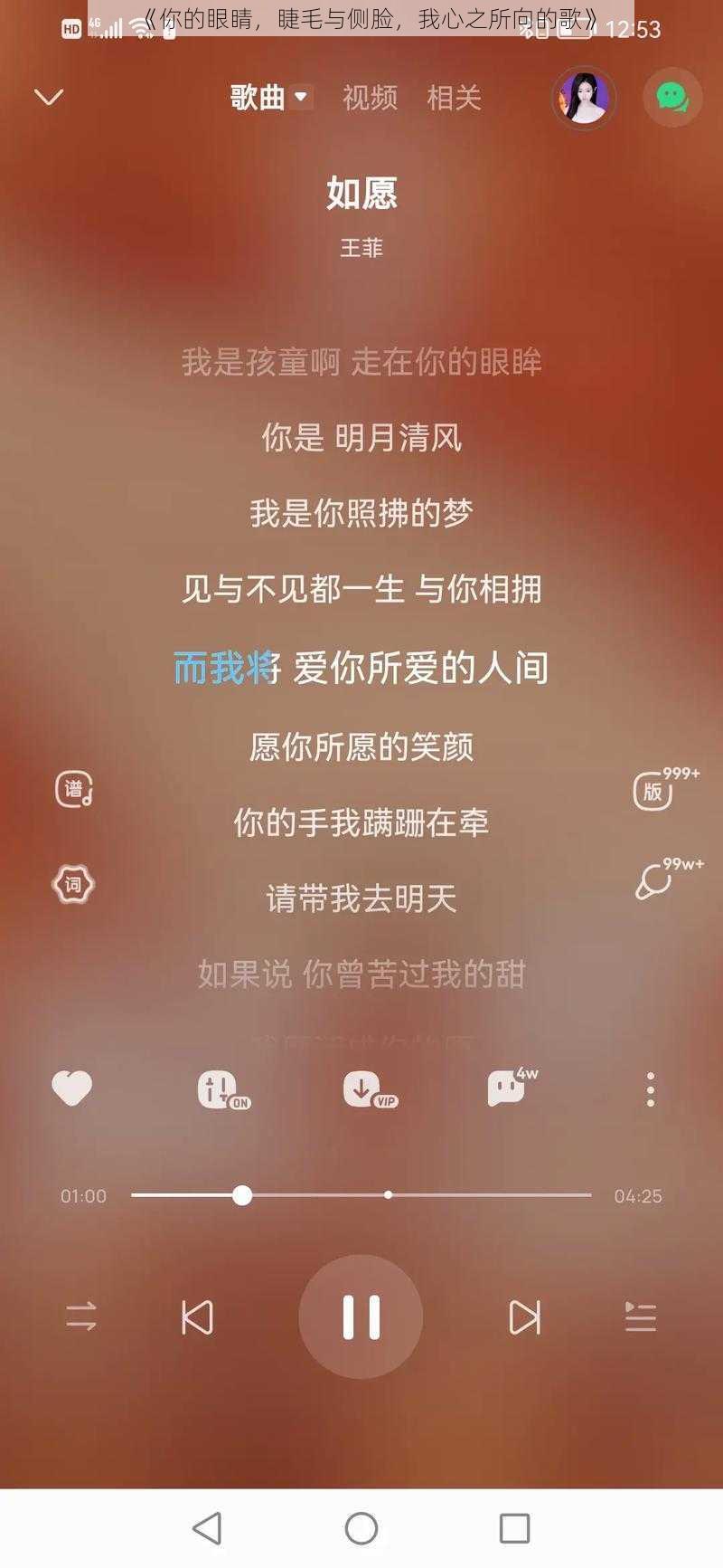 《你的眼睛,睫毛与侧脸,我心之所向的歌》