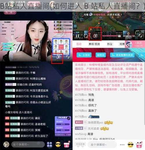 B站私人直播间(如何进入 B 站私人直播间?)
