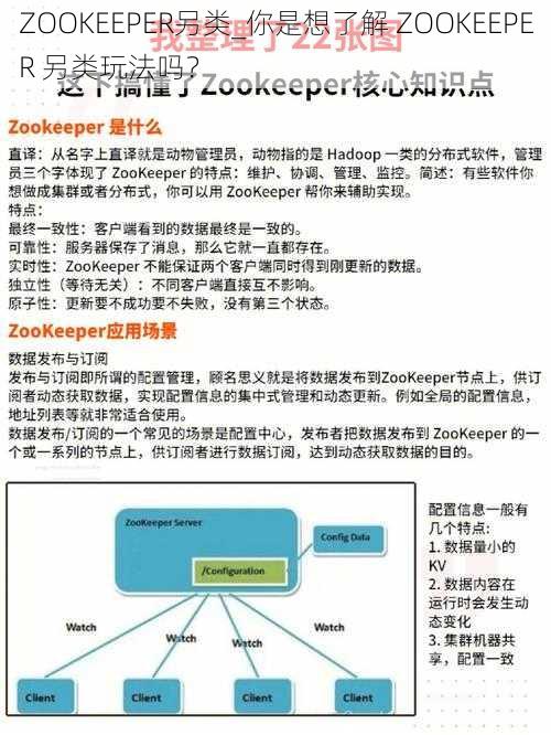 ZOOKEEPER另类_你是想了解 ZOOKEEPER 另类玩法吗?