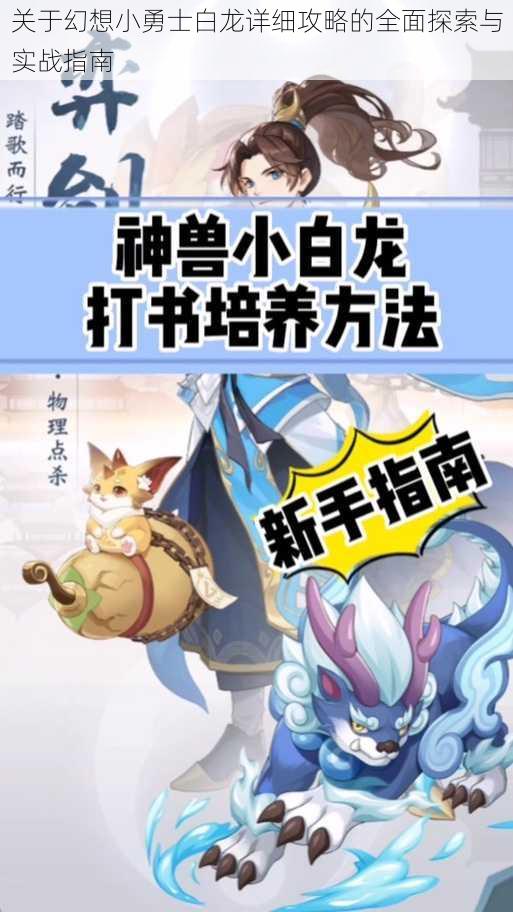 关于幻想小勇士白龙详细攻略的全面探索与实战指南