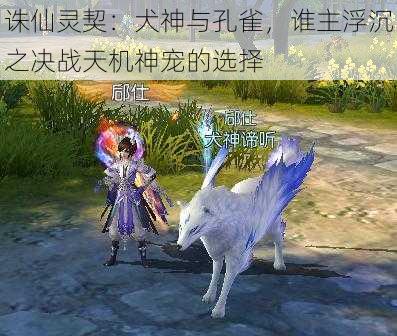 诛仙灵契:犬神与孔雀,谁主浮沉之决战天机神宠的选择