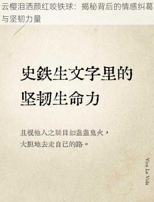 云樱泪洒颜红咬铁球:揭秘背后的情感纠葛与坚韧力量
