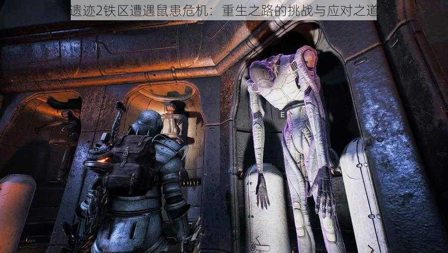 遗迹2铁区遭遇鼠患危机:重生之路的挑战与应对之道