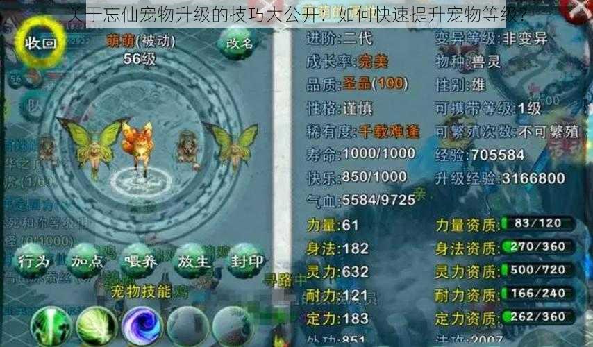 关于忘仙宠物升级的技巧大公开:如何快速提升宠物等级?